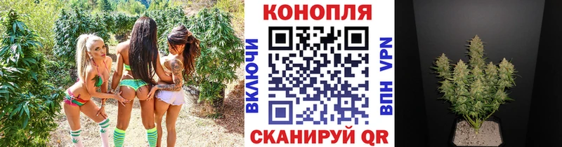 Бошки марихуана гибрид  цена наркотик  Нефтеюганск 